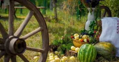Проведення Днів сіл та селищ в Балаклійському районі