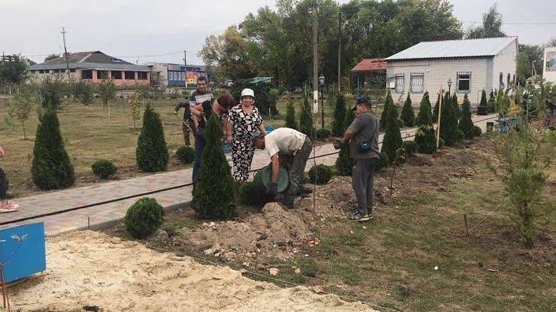 Ко дню поселка в Андреевке высажена Аллея Мира
