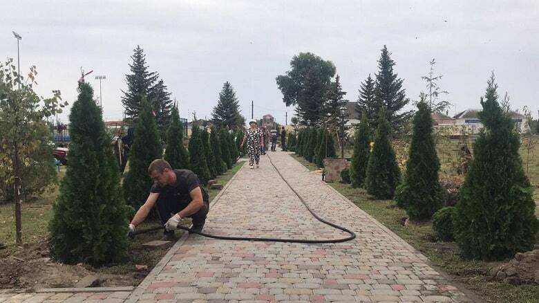 Ко дню поселка в Андреевке высажена Аллея Мира