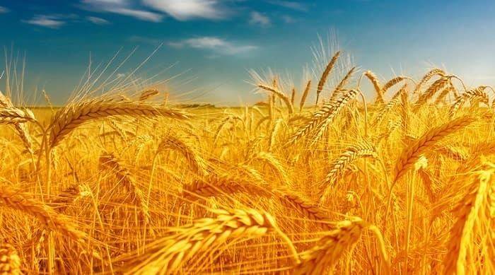 22 вересня День народження Андріївки: чудовий настрій гарантовано!