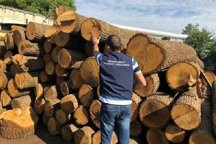 Прокуратура обшукує лісгоспи, що можуть бути причетні до незаконної порубки дерев, - ФОТО