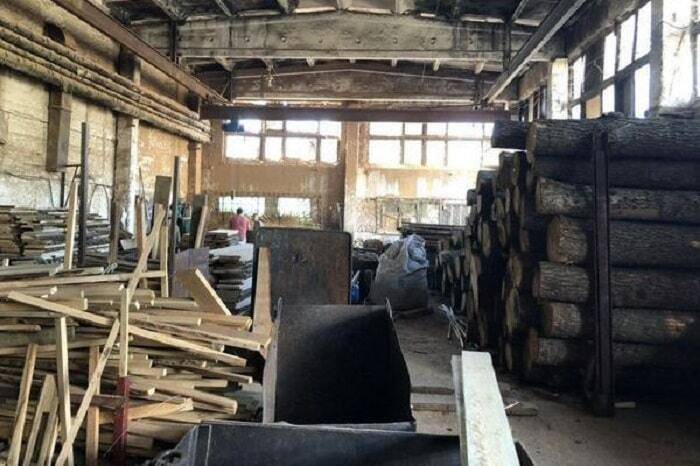 Прокуратура обшукує лісгоспи, що можуть бути причетні до незаконної порубки дерев, - ФОТО