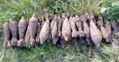 В лесу нашли выкопанные неизвестными боеприпасы