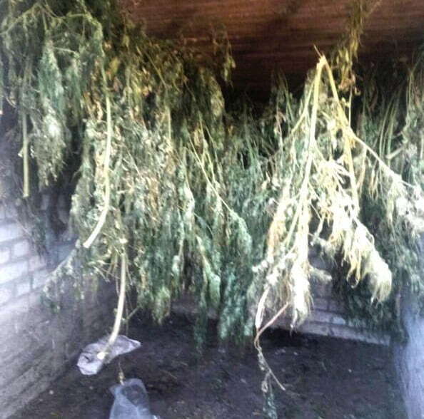 Марихуанна