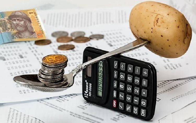 Усе про субсидії: як призначають, роблять перерахунки та кому відмовляють