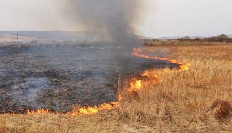На месте горения сухой травы спасатели нашли тело мужчины
