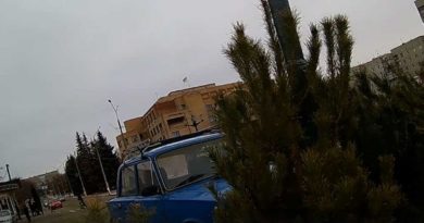 елка