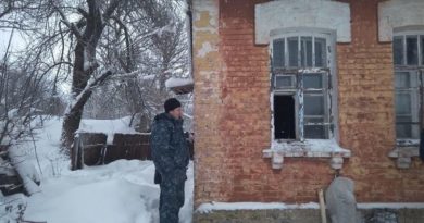 анріївка злодій на гарячому