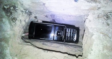 колония телефоыны