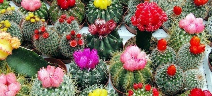 Харьковские ученые развенчали миф