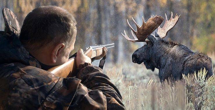 В Балаклейском районе запретят охоту