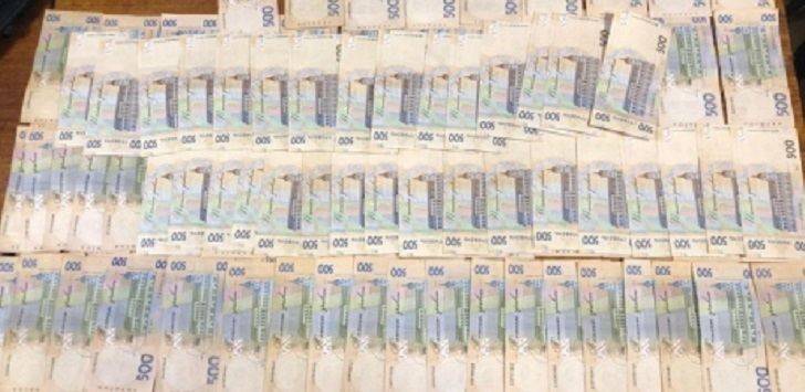 Три тысячи долларов за усыновление: чиновницу задержали за вымогательство