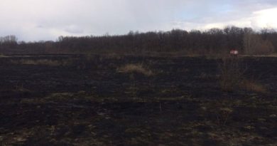 лісова пожежа в балаклій