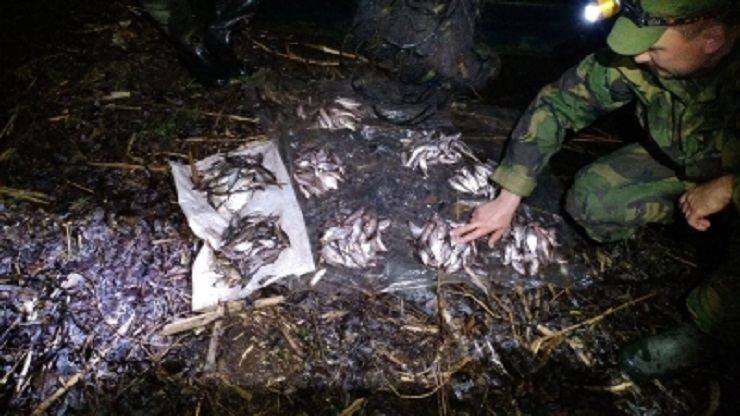 На водоемах Харьковщины продолжают отлавливать браконьеров