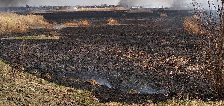 В Балаклейском районе одно из наибольших количеств возгораний сухой травы