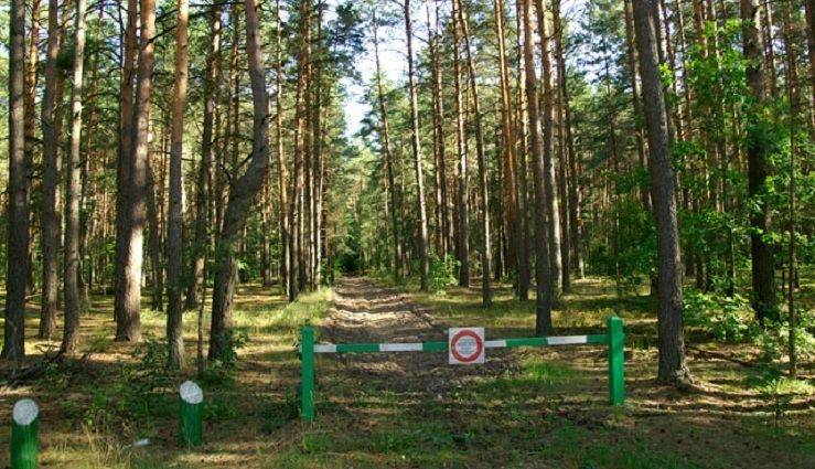 Інформуємо населення району щодо заборони в’їзду у хвойні ліси  у пожежонебезпечний період