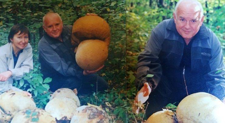 А ви знали, що такі гриби є  в Балаклії?