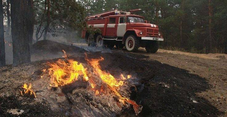 В Савинском лесничестве произошел пожар