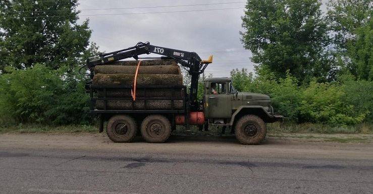 Несмотря на многочисленные аресты, в области продолжают ловить «черных лесорубов»