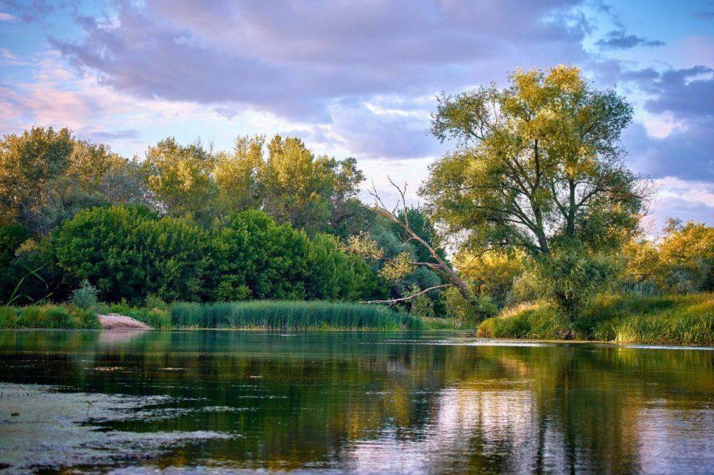 Балаклея