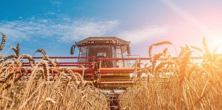 Балаклійщина лідирує у валовому зборі зерна нового врожаю