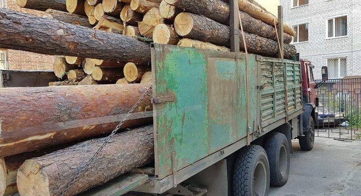 В Харькове поймали КамАЗ с нелегальной древесиной (фото)