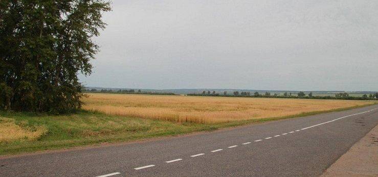 На дорозі між Яковенково та Вербівкою моторошна знахідка