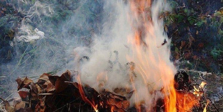 Будь людиною! Не пали листя!
