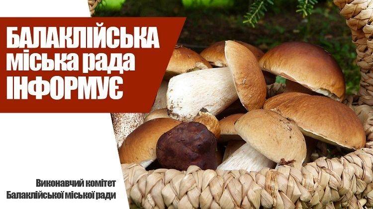 Балаклійська міськрада інформує щодо профілактики отруєнь грибами