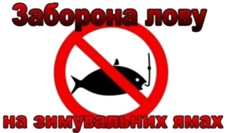 З 1 листопада 2019 року встановлено  заборону на  вилов риби на зимувальних ямах