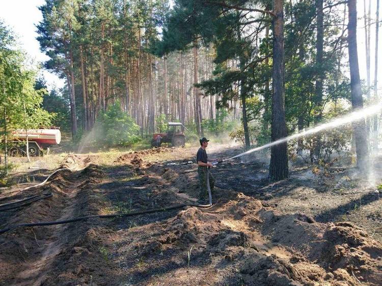 Лісові пожежі Балаклійщини