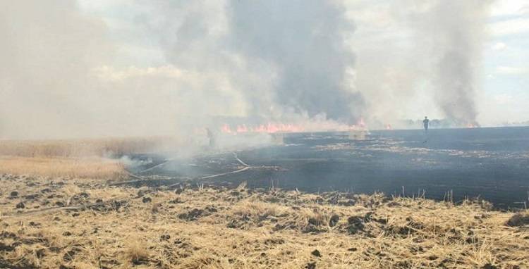 У Балаклійському районі згоріло близько десяти гектарів пшениці — ВІДЕО