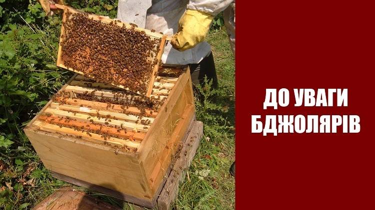 До уваги бджолярів міста Балаклія!