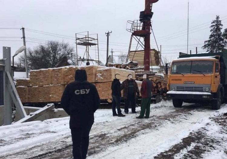 Майже 5,6 млн грн збитків – на Харківщині судитимуть 11 працівників лісгоспу