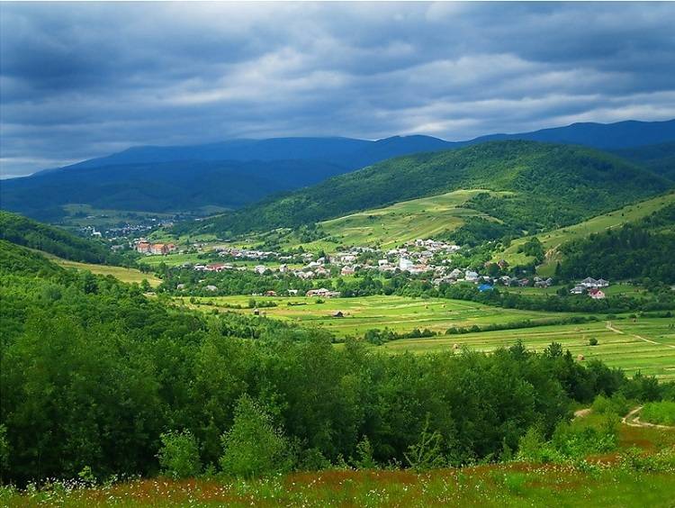На Закарпатье депутаты без страха и стеснений пели гимн Венгрии (видео)
