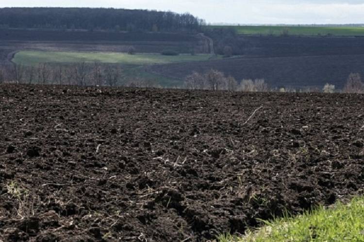 На Харківщині фермер незаконно відібрав у селян оброблені паї