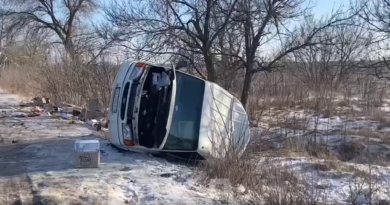ДПТ з мікроавтобусом