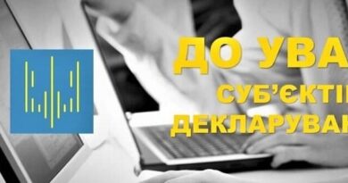 подання декларацій