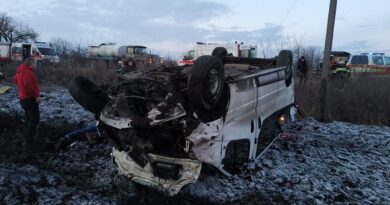 перекинувся мікроавтобус