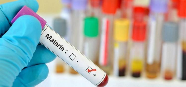 Смертельний випадок малярії зафіксували у Харкові