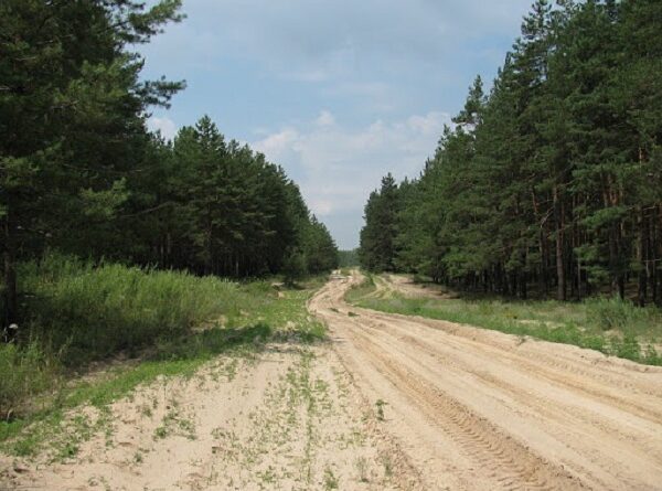 Балаклійський ліс