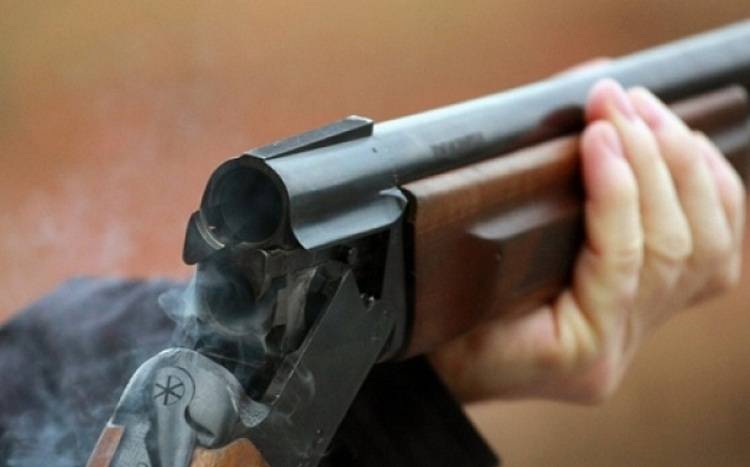 Співробітника Ізюмського лісгоспу підозрюють у вбивстві собаки