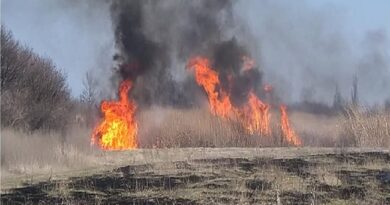 пенсіонер врятував від пожежі міст