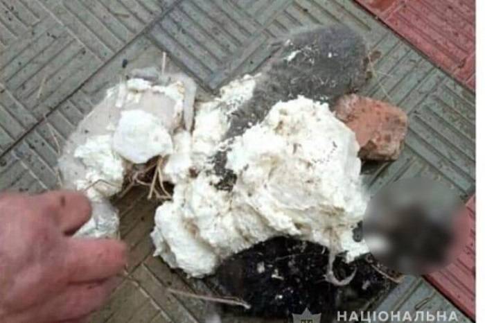 На Харківщині поліція відкрила справу на чоловіка за жорстоке поводження з тваринами