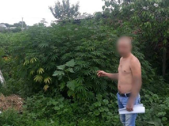 Балаклейские полицейские разоблачили еще двух «наркоплантаторов»