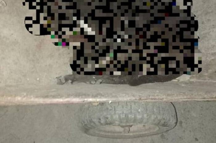 На Харківщині двоє дітей жорстоко вбили собаку
