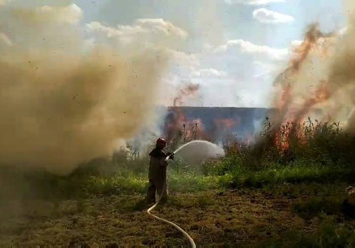 На вихідних на території Савинської ОТГ сталася пожежа в екосистемі