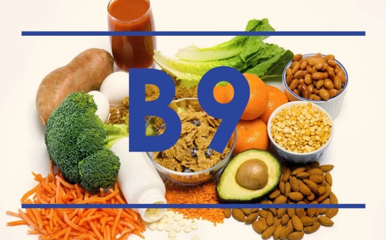 Зачем организму нужна фолиевая кислота?
