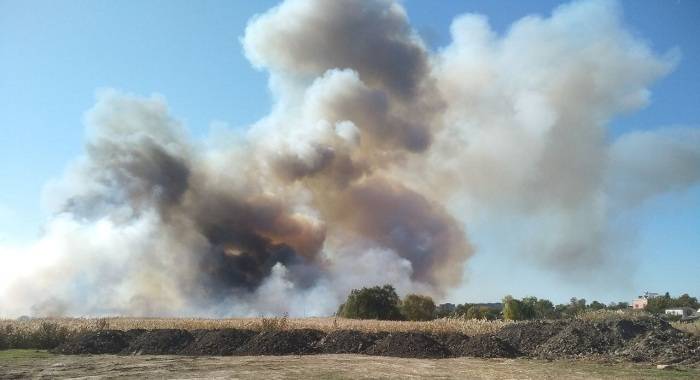 В Балаклії знову горять луки