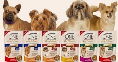 Корм для собак Purina ONE